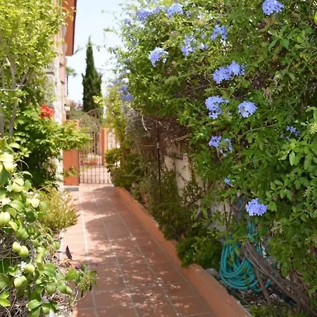 Carmen Costa Blanca Apartament Denia